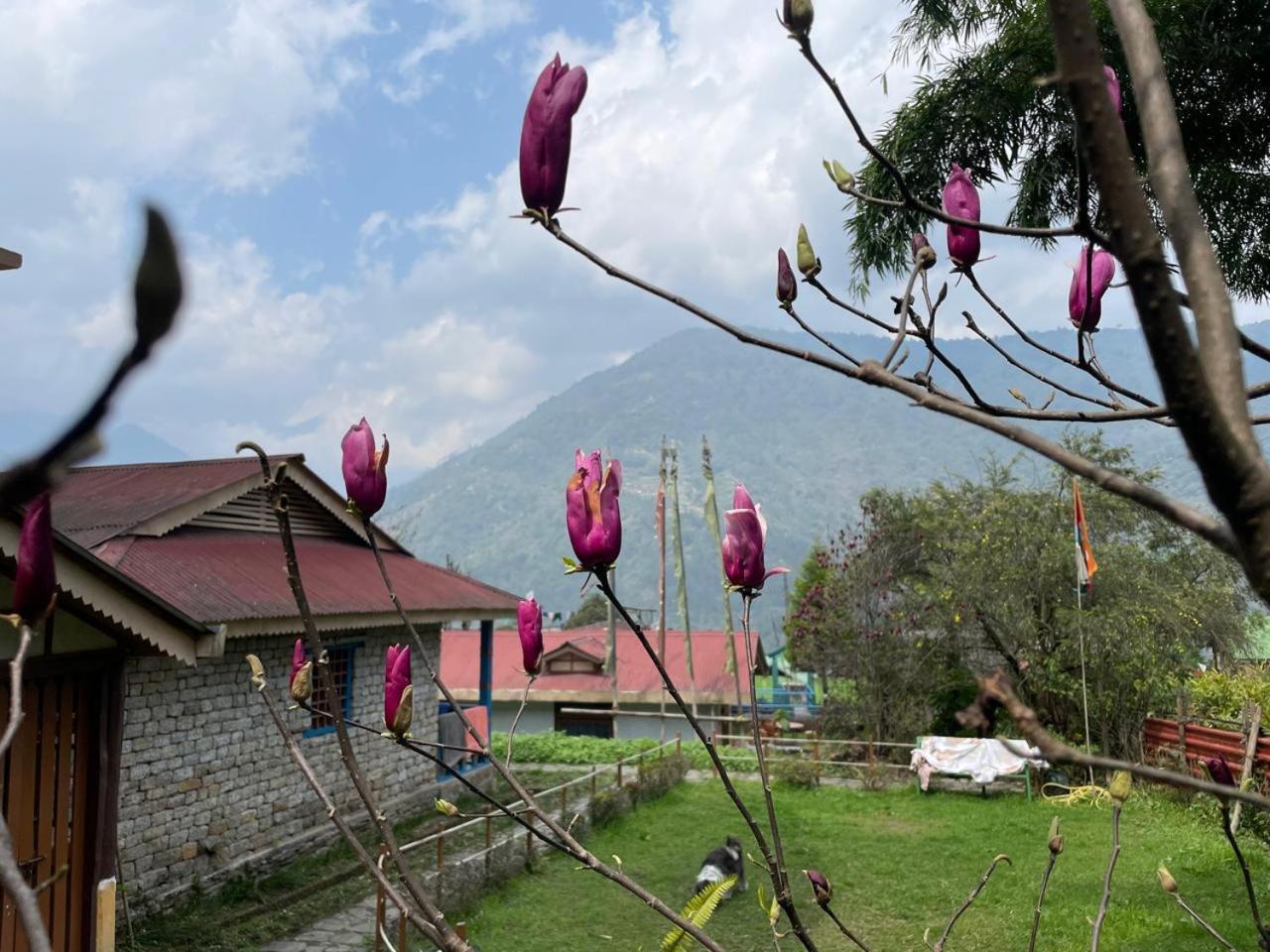 Daragaon Retreat Apartment Pelling Exterior photo